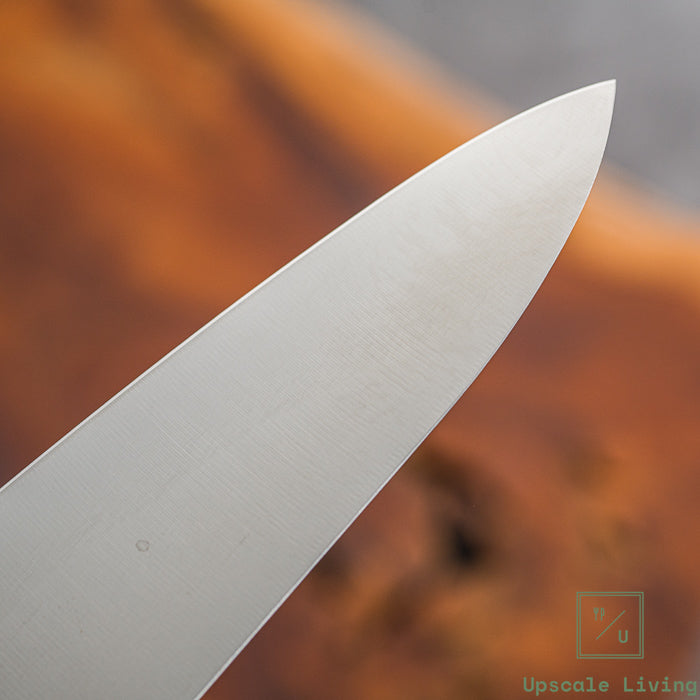 Pisau Dapur Jepang EBM E-Pro MV Gyuto 210mm