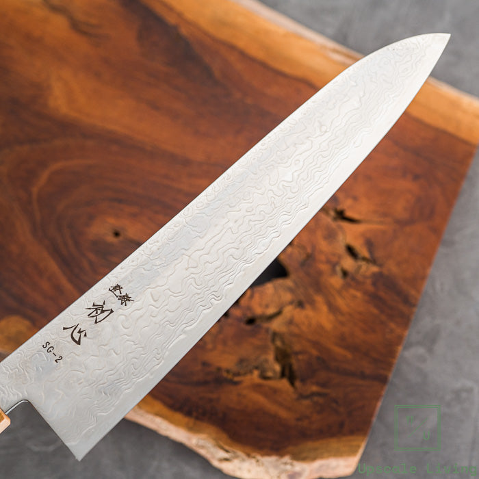 Hatsukokoro Ryuhyo SG2 Damascus Migaki Gyuto 210mm