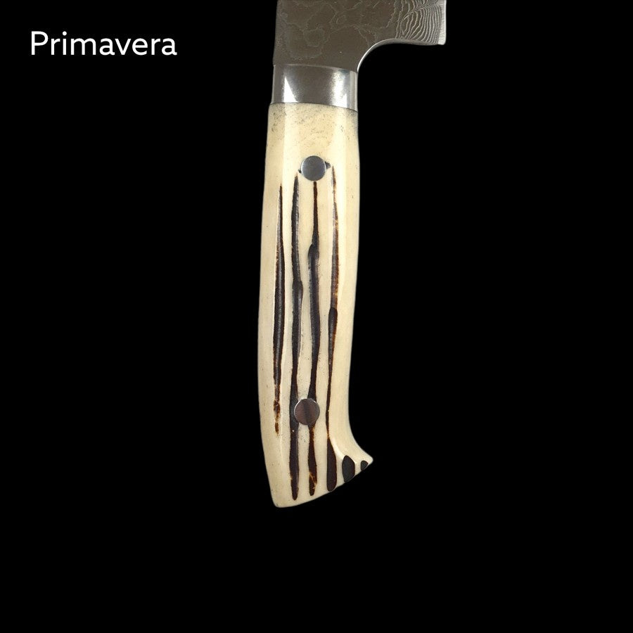 Takeshi Saji Diamond Finish R2 Gyuto 240mm Deer Horn Handle Pisau