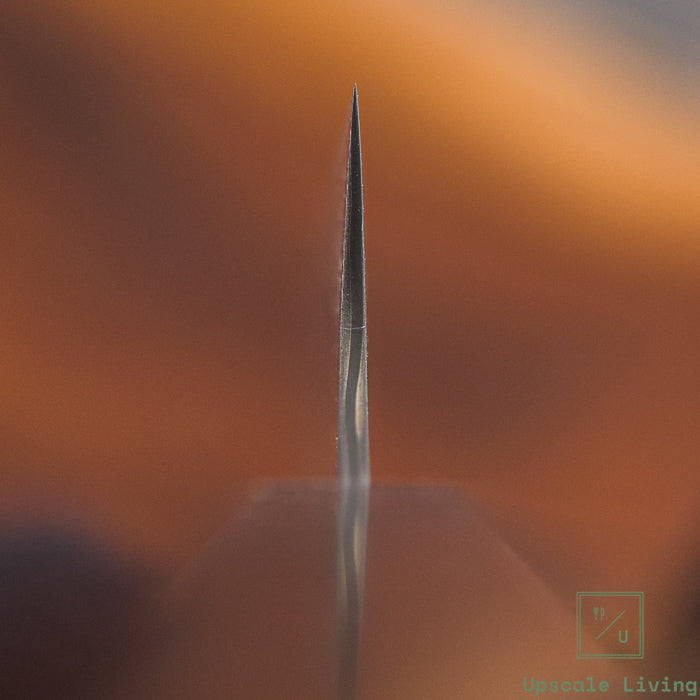 Nigara Hamono Anmon Damascus SG2 Kiritsuke Sujihiki 255mm