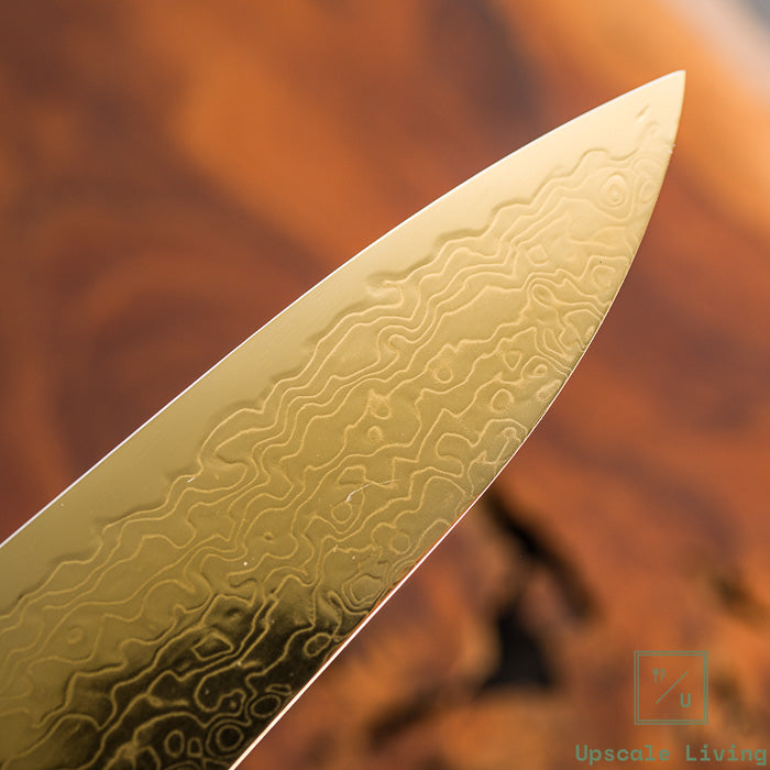 Pisau Dapur Jepang Hatsukokoro Ryuhyo Gold coating  SG2 Damascus Gyuto 210mm