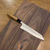 Japanese Artisan Knife Hatsukokoro SKD Kiritsuke 210mm