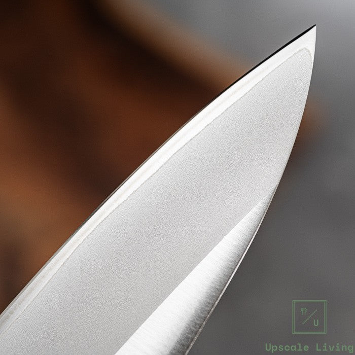 Japanese Knife TOJIRO Basic 3 Layered by VG10 Chef Knife 200mm