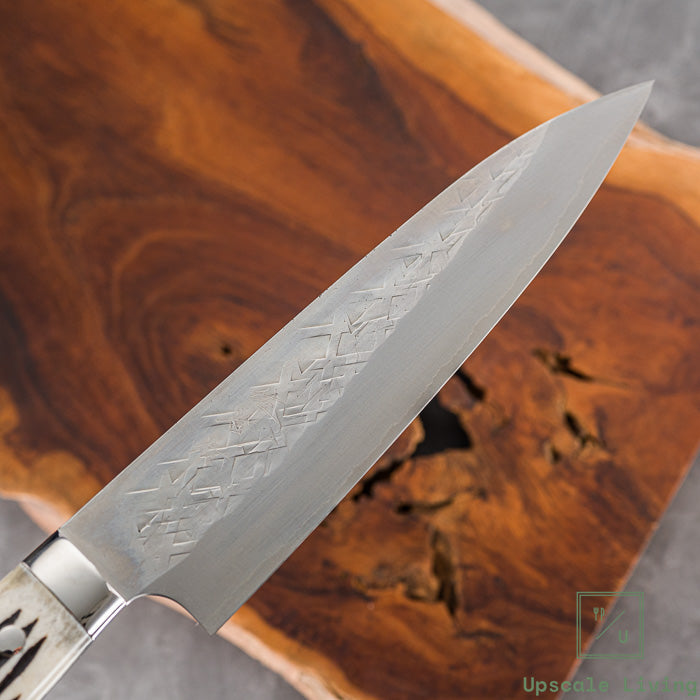 Japanese Knife Takeshi Saji SRS13 Gyuto 210mm