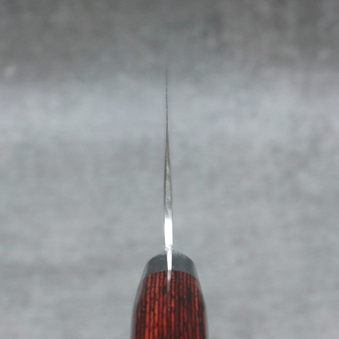 SAKAI TAKAYUKI 33-Layer Damascus Hammered Gyuto 210mm