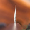 Pisau Jepang Hatsukokoro Ginsan Silver#3 Kiritsuke Gyuto 210mm