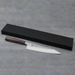 Pisau Dapur Jepang Ryusen Blazen SG2 Nashiji WA Kiritsuke Gyuto 210mm