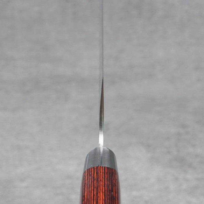 SAKAI TAKAYUKI 33-Layer Damascus Hammered Butcher 210mm