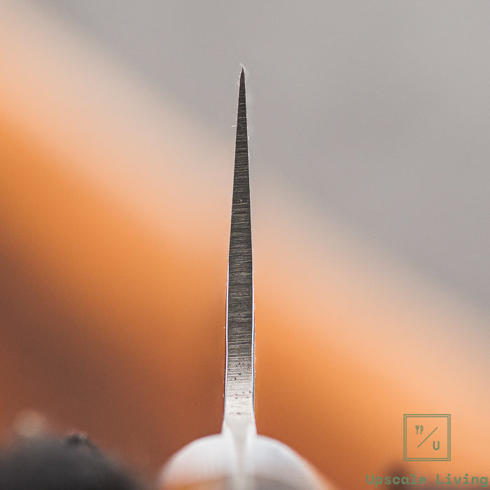 Pisau Dapur Jepang Seki Magoroku Imayo MV Gyuto 210mm