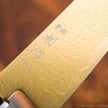 Pisau Dapur Jepang Hatsukokoro Ryuhyo Gold coating  SG2 Damascus Gyuto 210mm