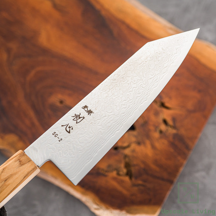 Pisau Jepang Hatsukokoro Ryuhyo SG2 Damascus Migaki Bunka 180mm