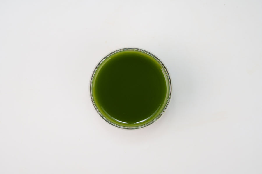 Uji Morihan Matcha Hana Ceremonial Grade Matcha 30g