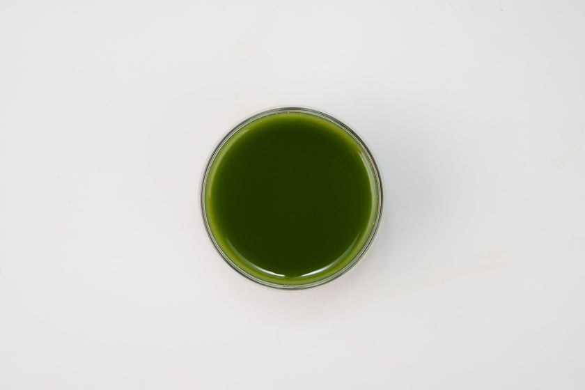 Uji Morihan Matcha Hana Ceremonial Grade Matcha 30g
