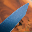 Hatsukokoro Ryuhyo Blue coating  SG2 Damascus Kiritsuke Gyuto210mm