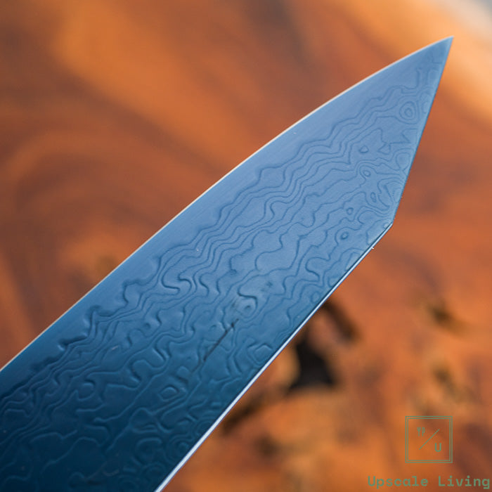 Hatsukokoro Ryuhyo Blue coating  SG2 Damascus Kiritsuke Gyuto210mm