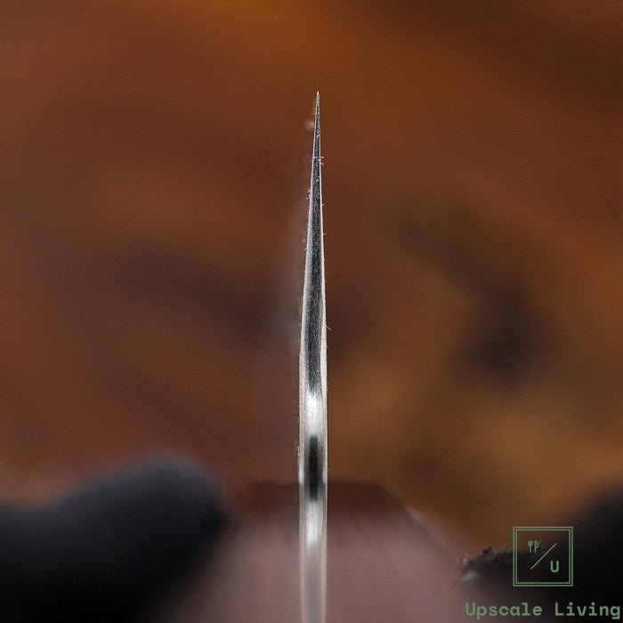 Japanese Knife Nigara Hamono VG10 Damascus Gyuto 210mm