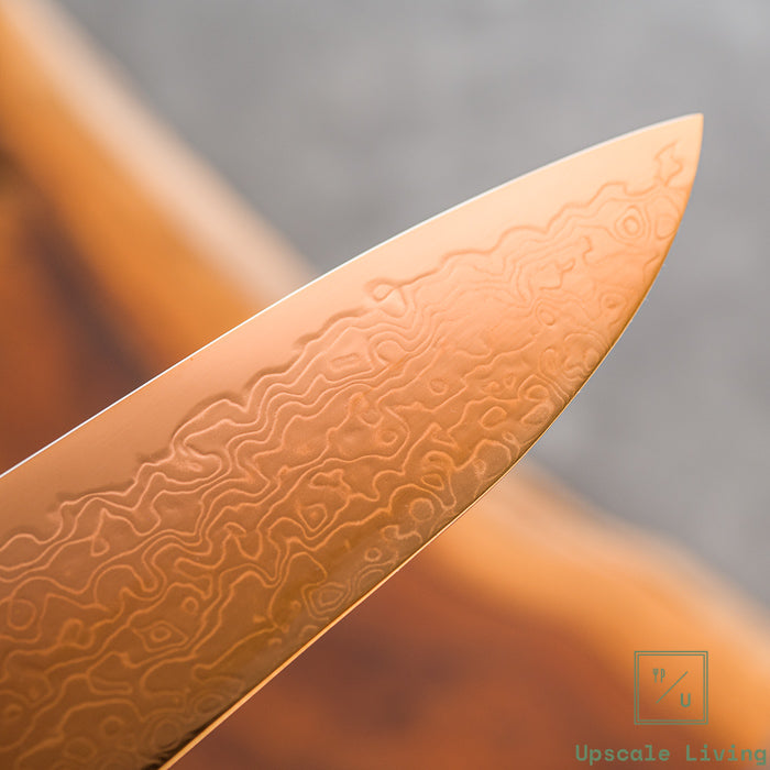 Pisau Dapur Jepang Hatsukokoro Ryuhyo Brown coating SG2 Damascus Gyuto210mm