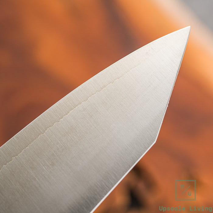 Pisau Dapur Jepang Hatsukokoro Hayabusa Silver#3 steel Migaki Bunka 180mm